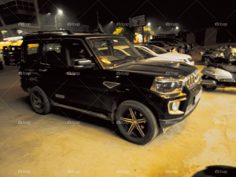 editors' choice: photo of the week