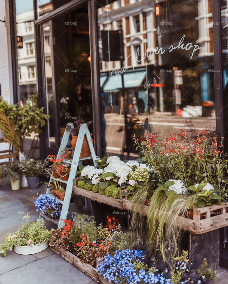 Flower shop in Hackney 