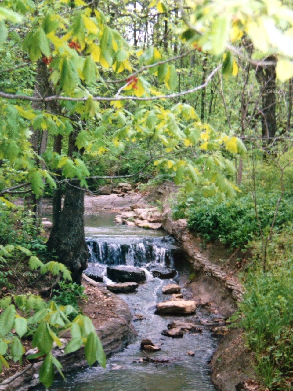 Powell gardens