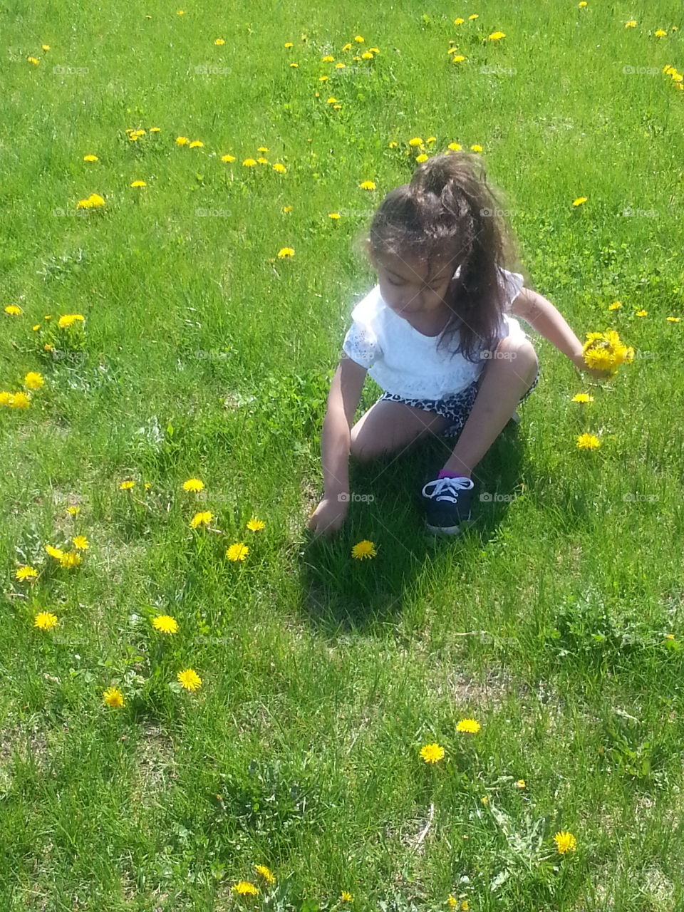 Picking Flowers. picking flowers