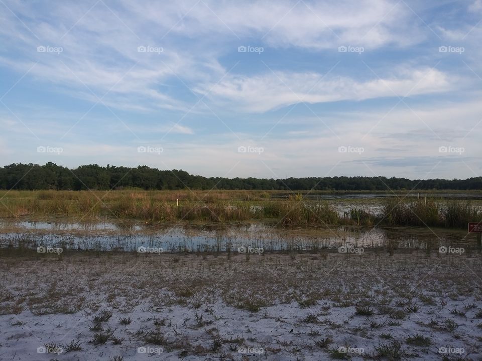 Beautiful lake view