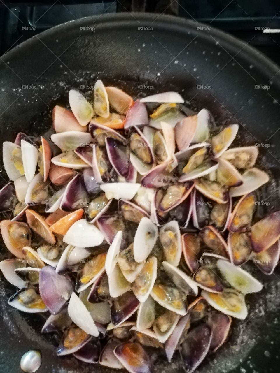 Coloured little claim . Sururu Brazil 