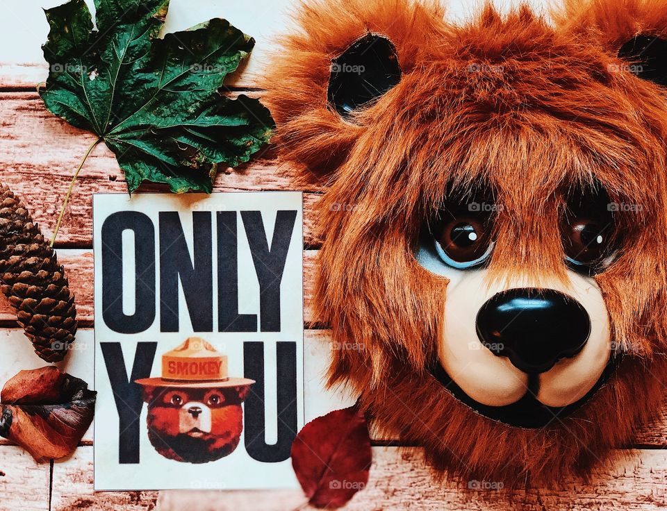 Bear With Forest Advertisement, Bear Mask With Leaves, Only You Can Prevent Forest Fires, Smokey The Bear Advertising, Furry Bear Mask 