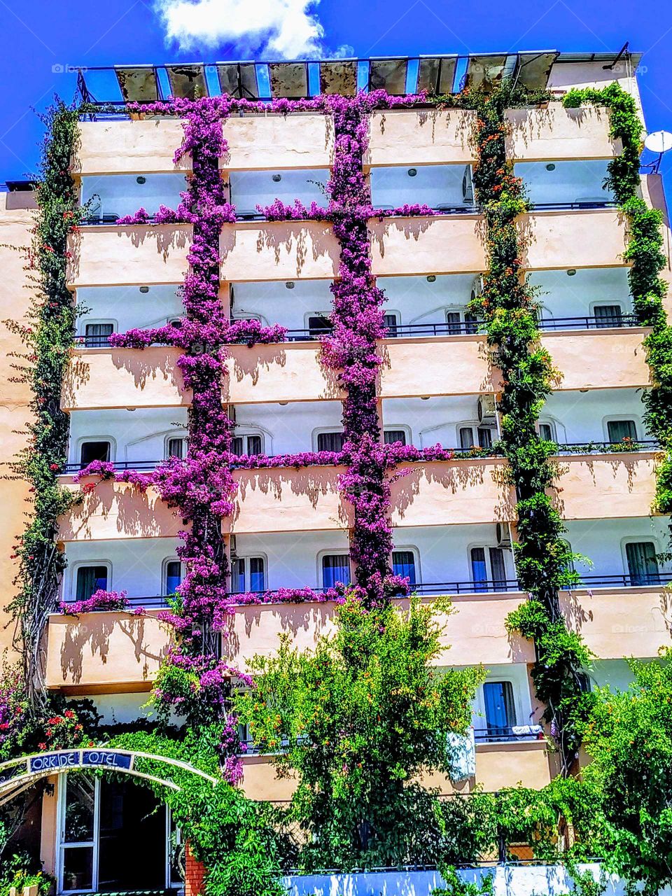 blooming house in Marmaris