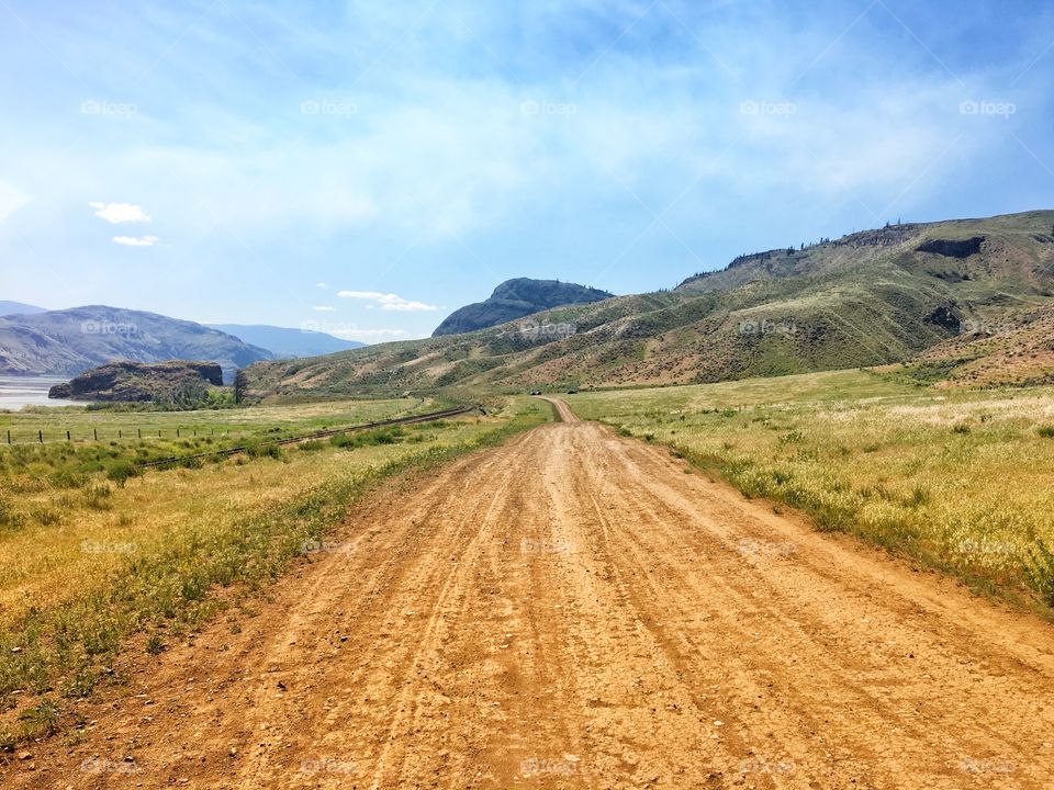 Beautiful sunny path 