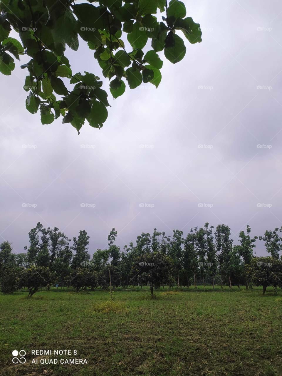 True Nature, No Filter