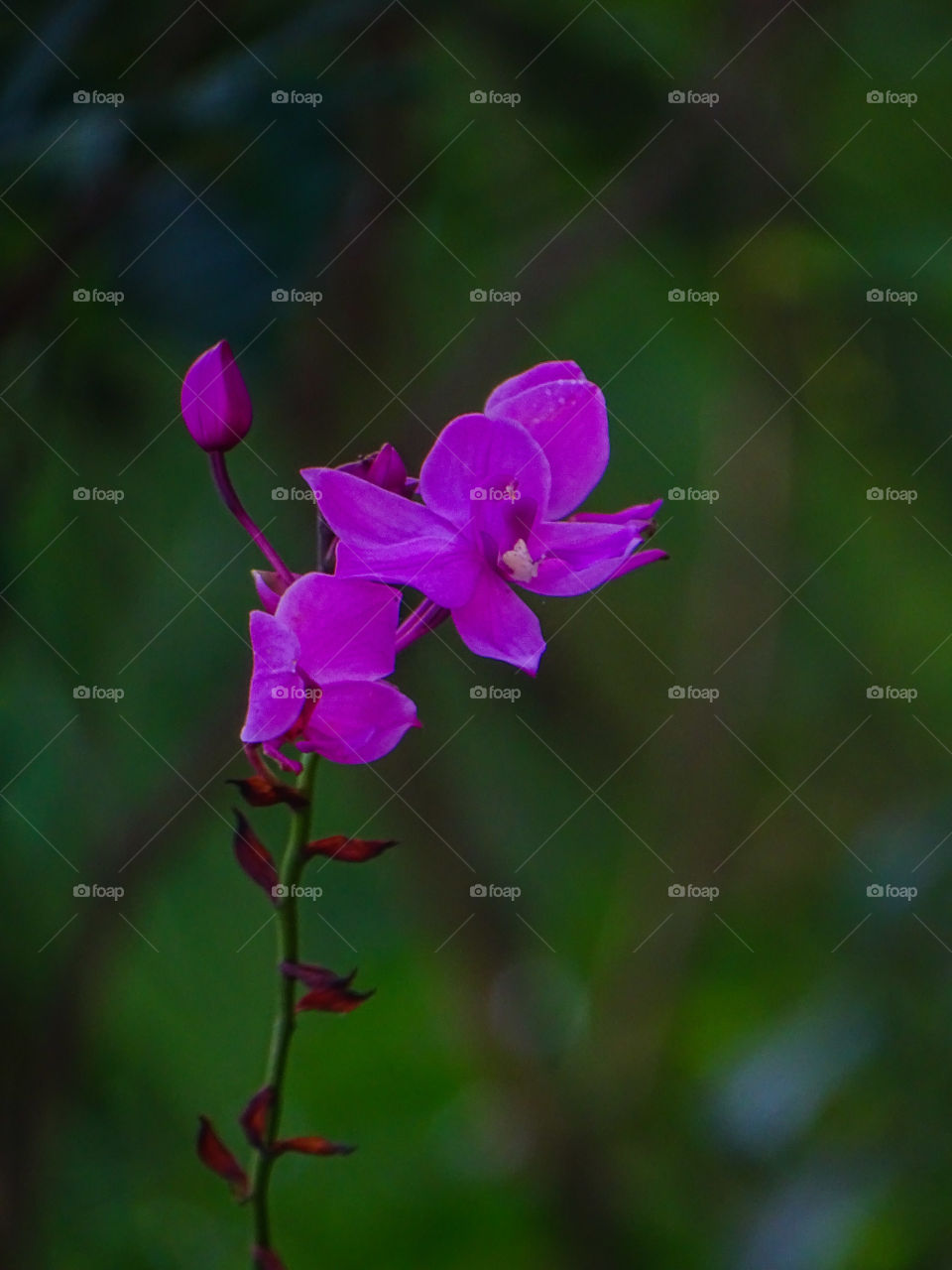 how do you like this photo