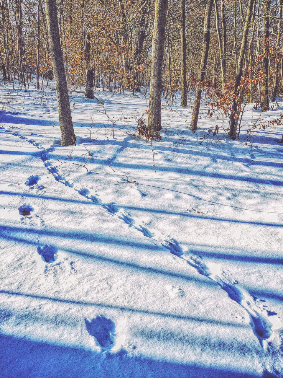 After winter storm jonas