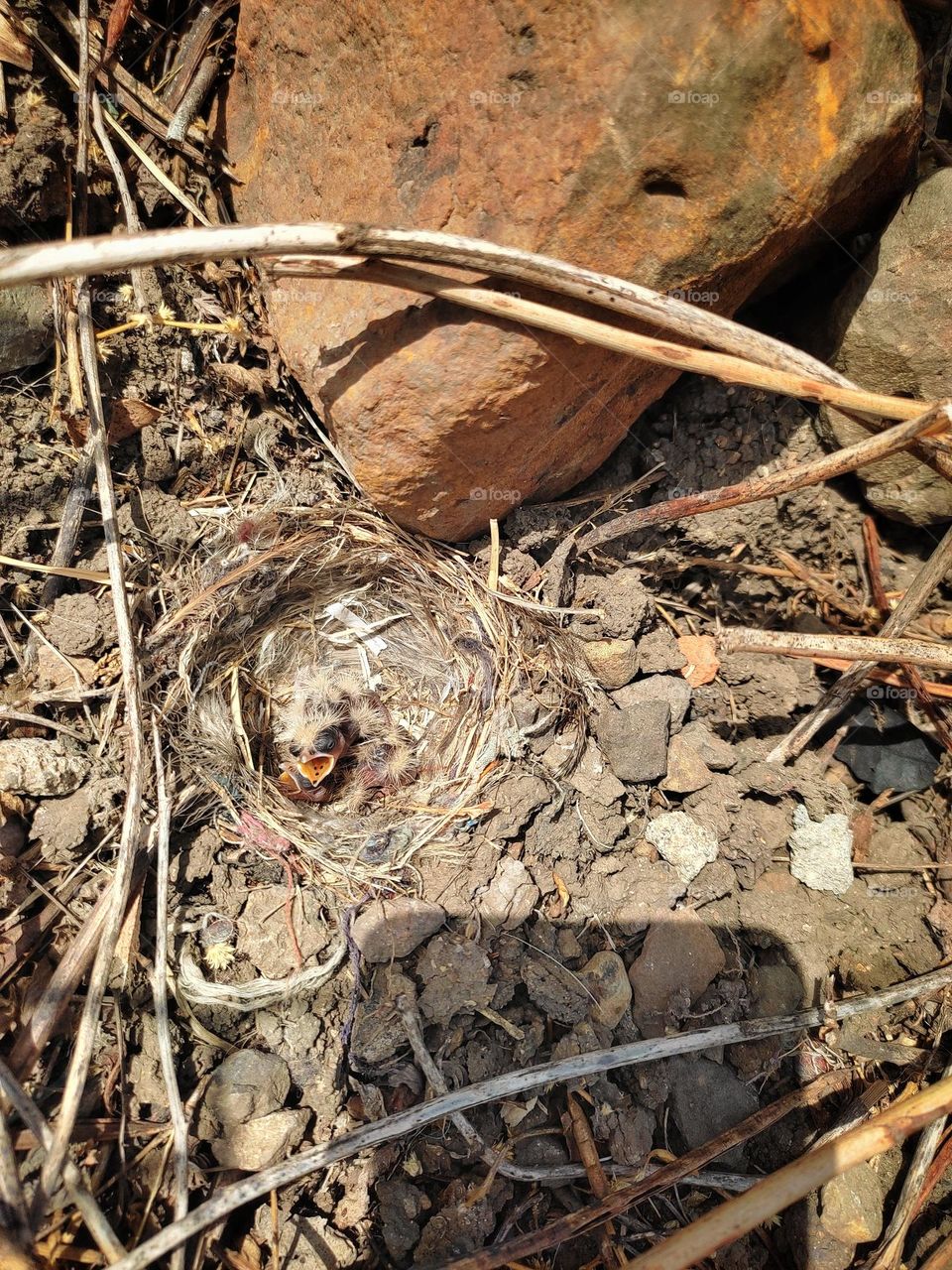 let's start new journey of life