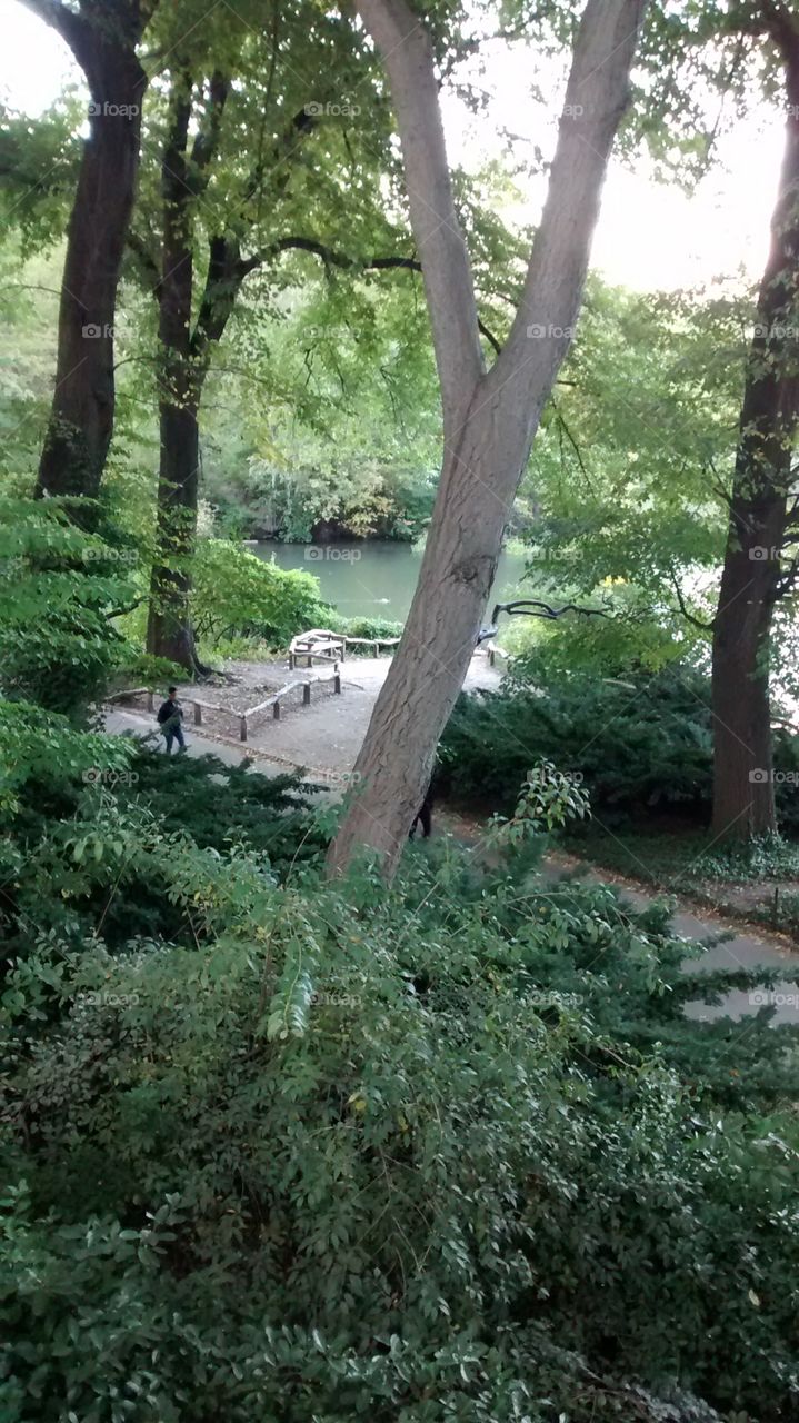 Central Park NYC