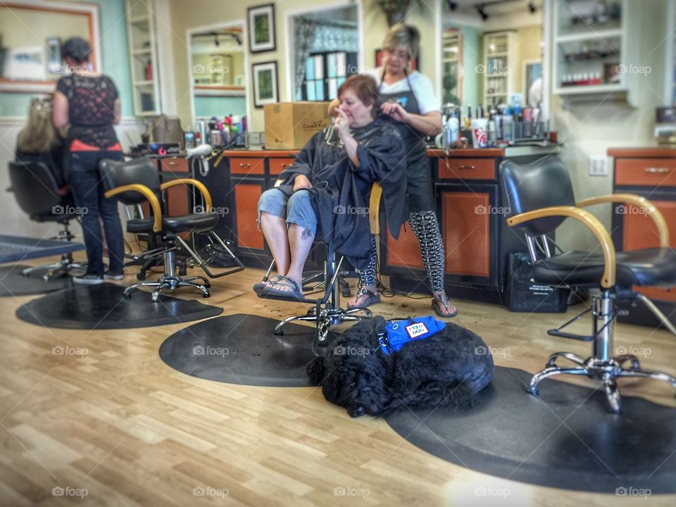 Clients and stylists at hair salon