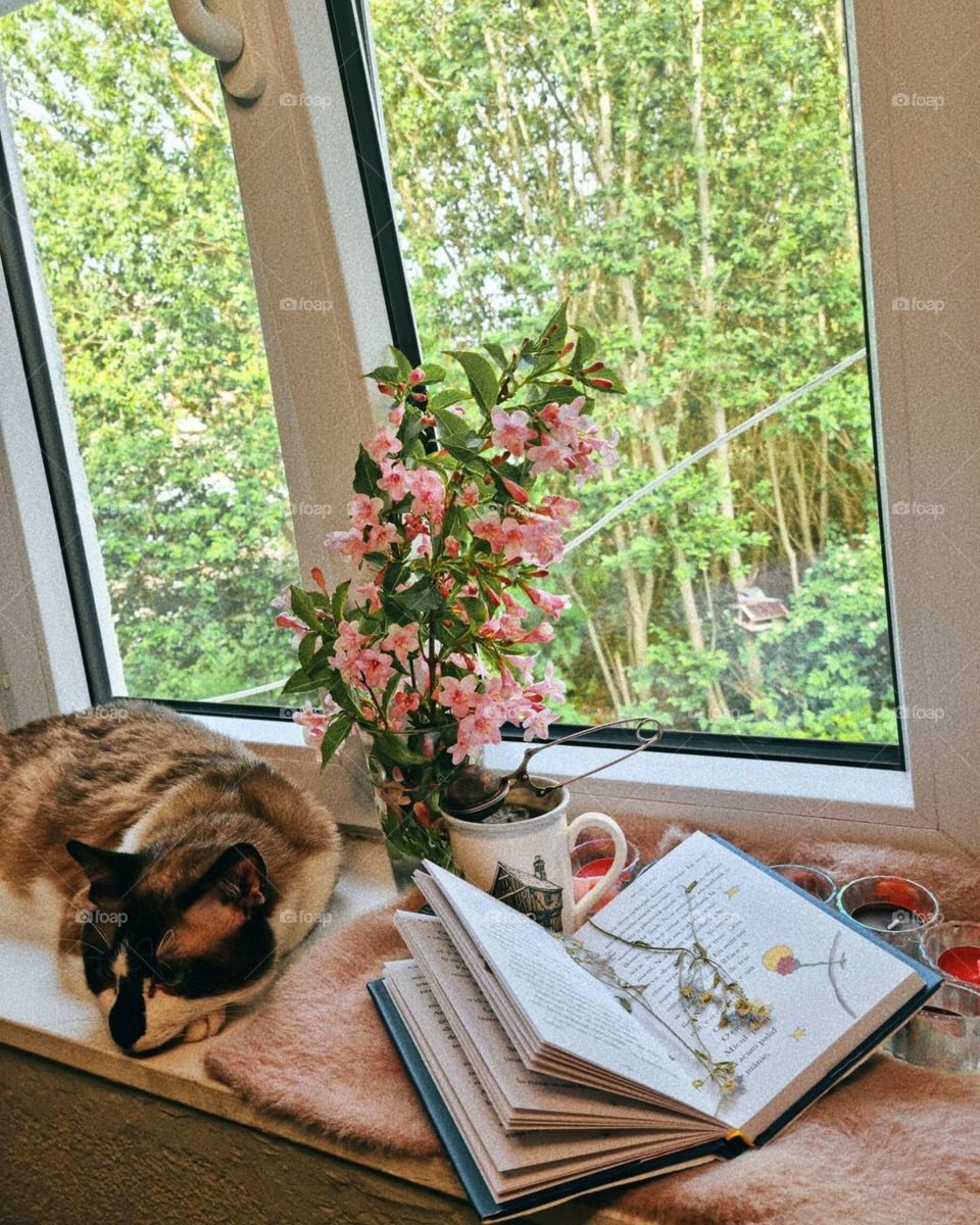 Enjoying a relaxing Sunday afternoon with my baby cat Casper. He is a great companion and he is very supportive.