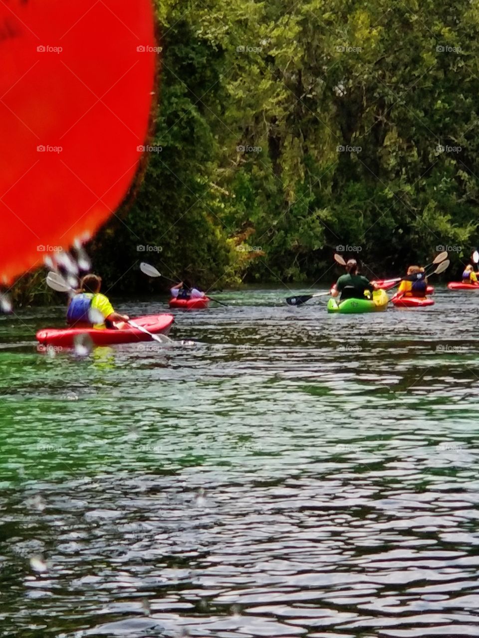 Children kayaking down the river for a school field trip