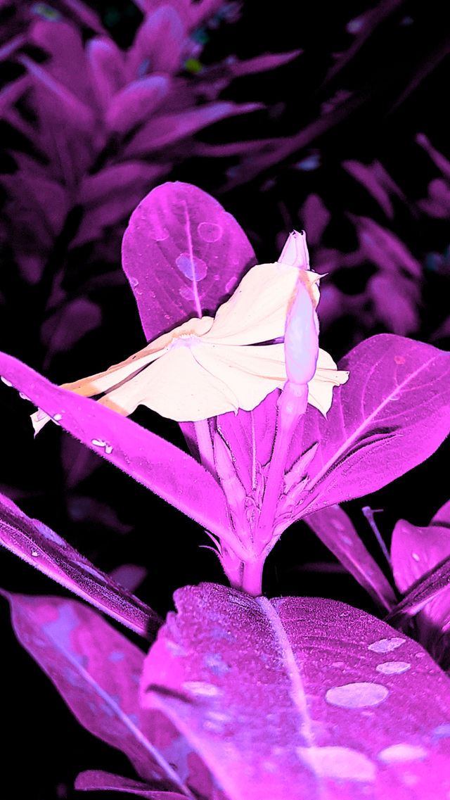 this my photoshop :) ...