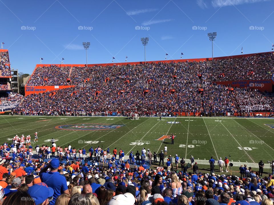 Work em silly gators!