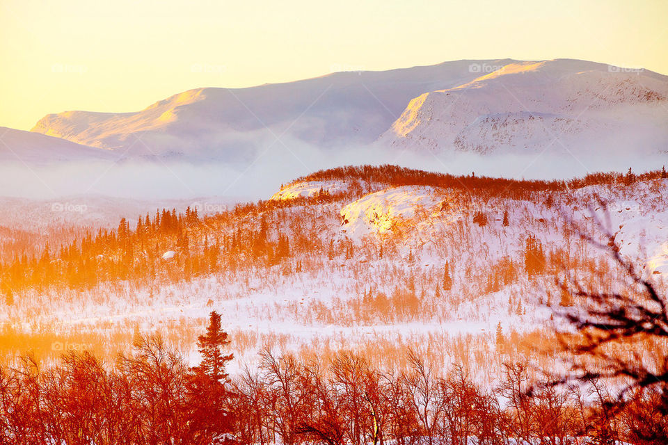 Swedish alps