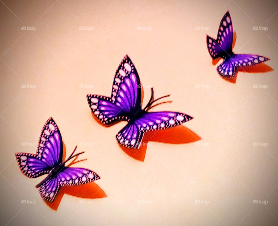 Wall Decorating Butterflies.