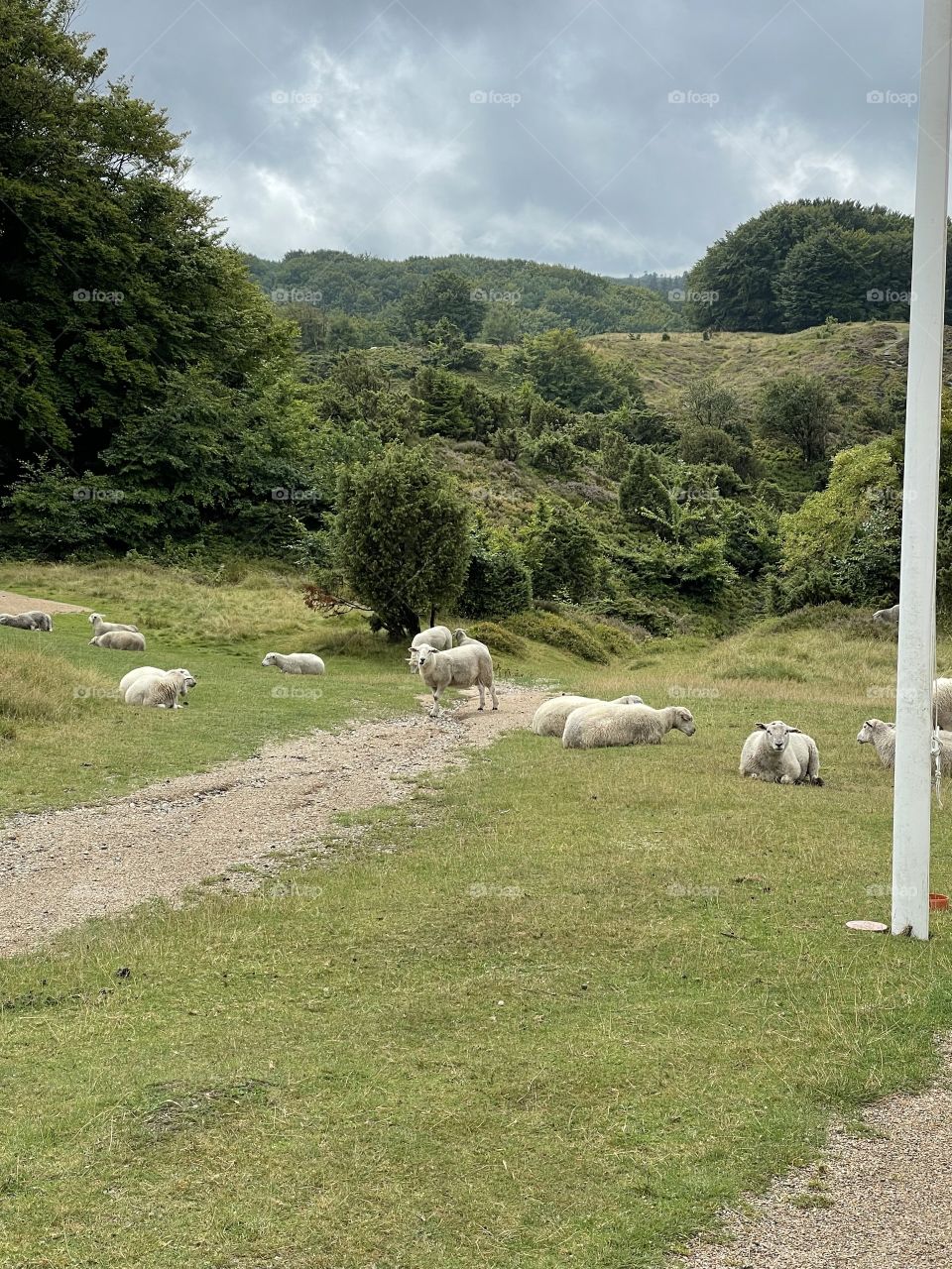 Rebild Bakker, Denmark