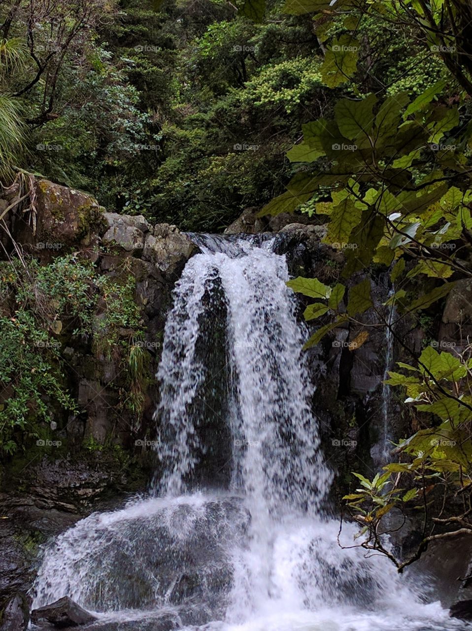 Waterfall, Water, River, Wood, Stream