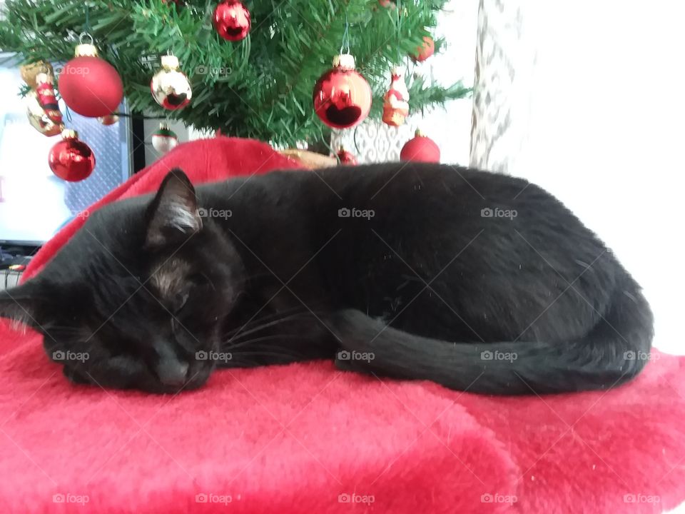 comfy tree skirt