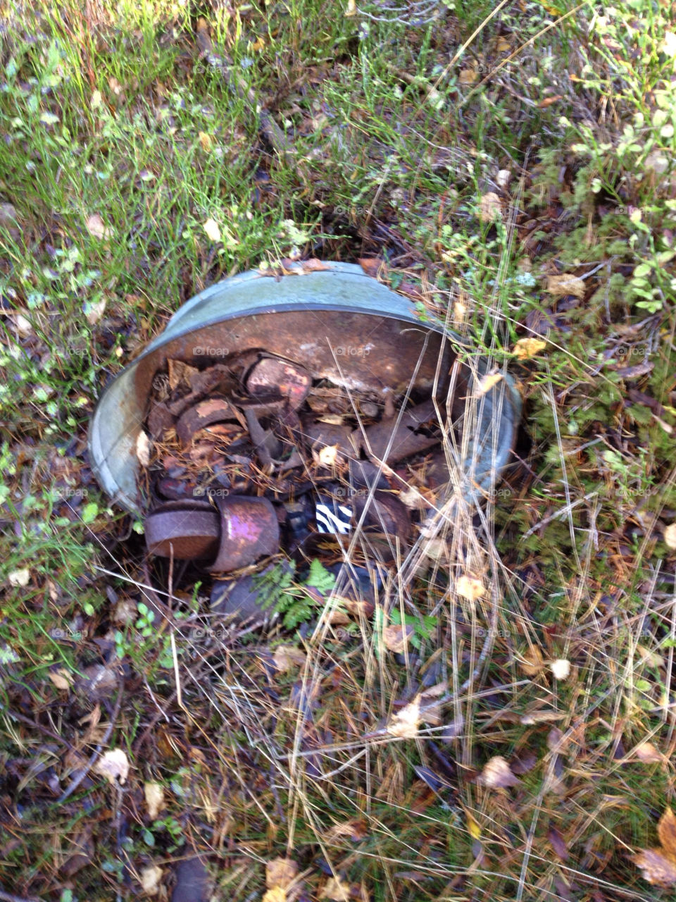 autum trash nature sweden mision5 sweden by petermichael