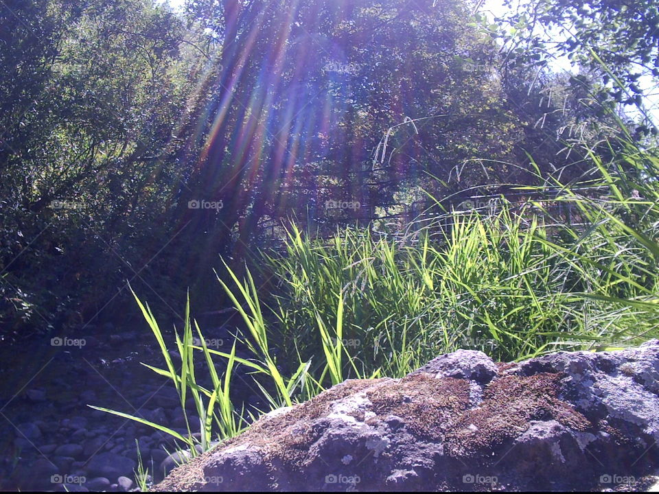 Nature's photography light show