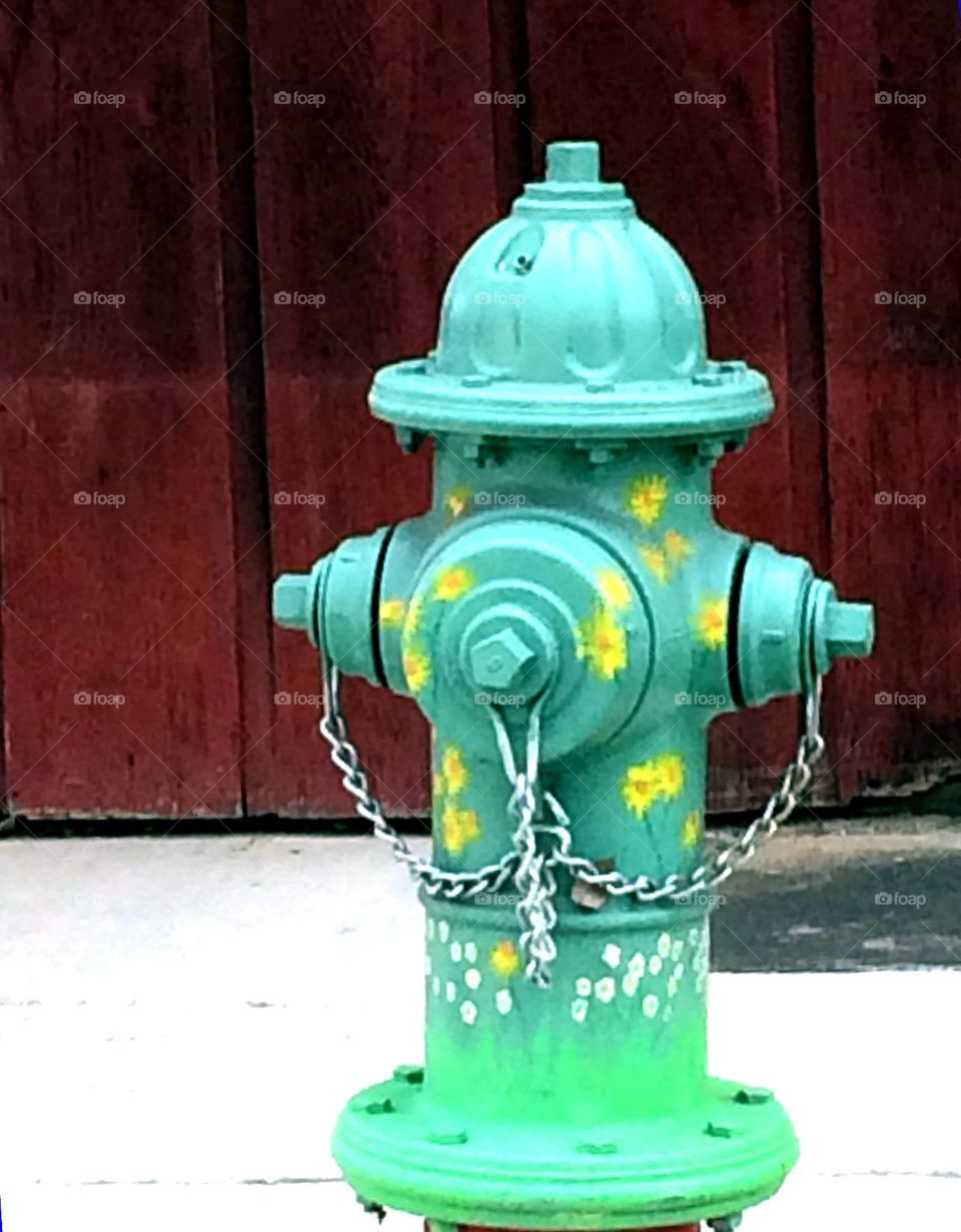 Flower power fire hydrant 