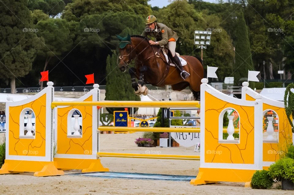 Competizione della cavalleria italiana