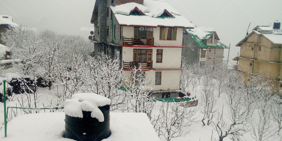 snow fall in manali