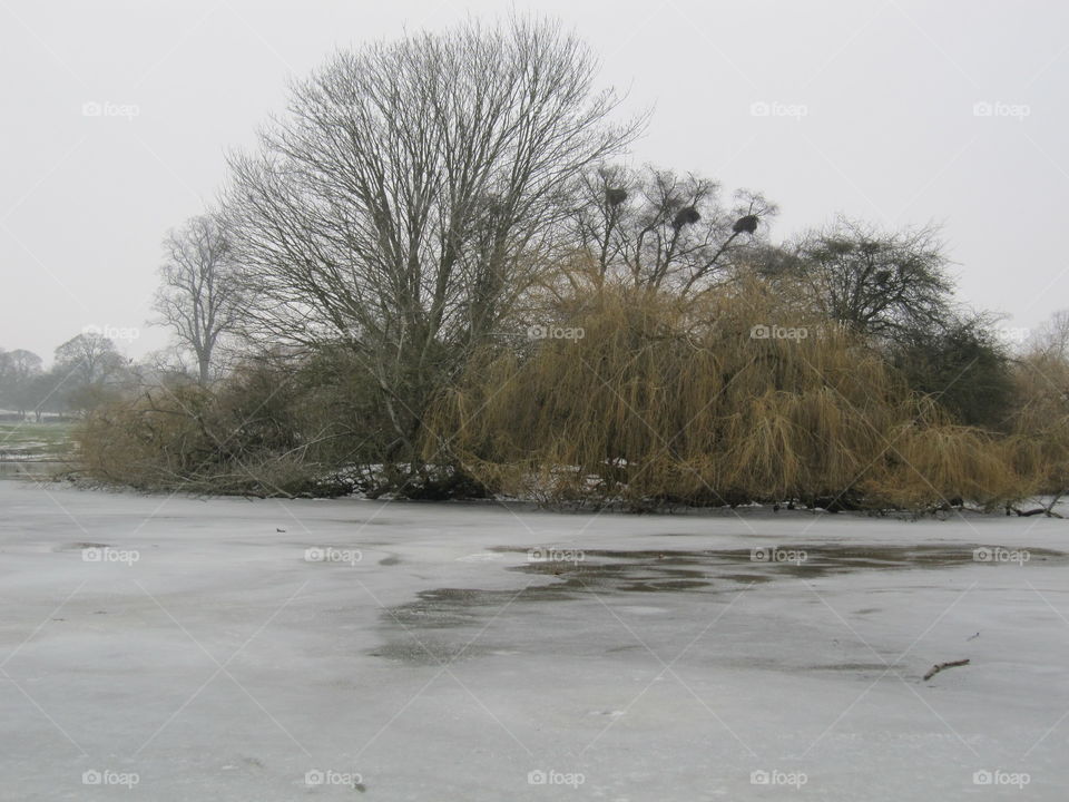 Frozen Island