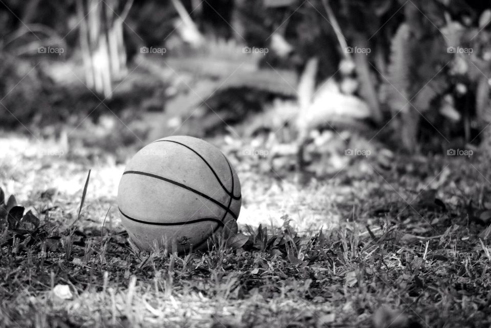 Basketball