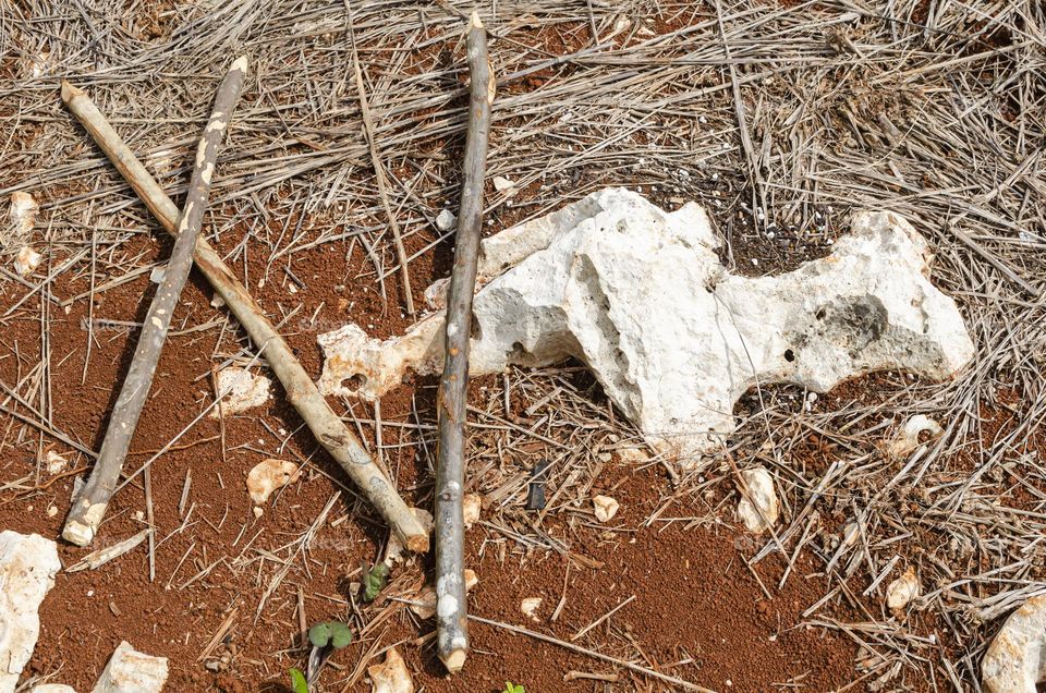 Sticks On Ground