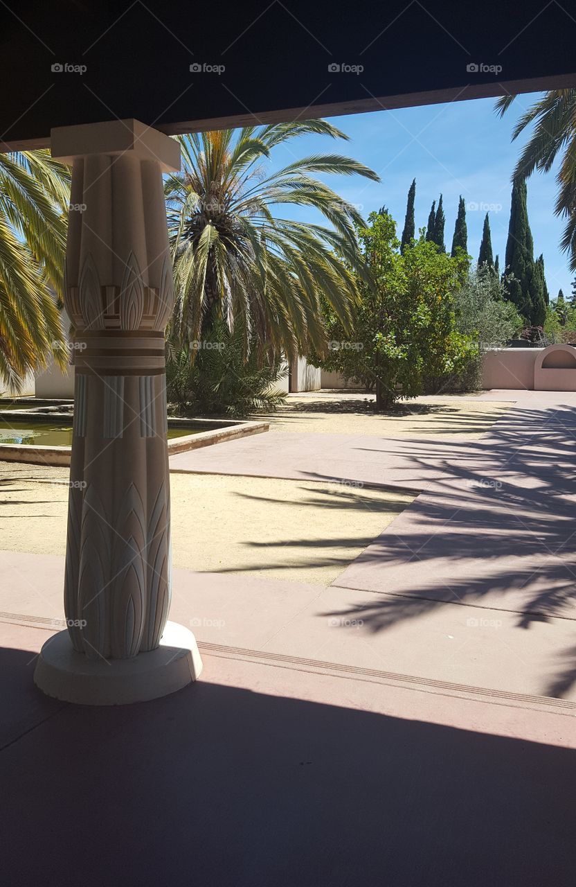 while walking the grounds of the Egyptian museum in San Jose i tookshade under a patio in the peace garden. The pond  had koi fish and the palm and olive trees gave added shade.