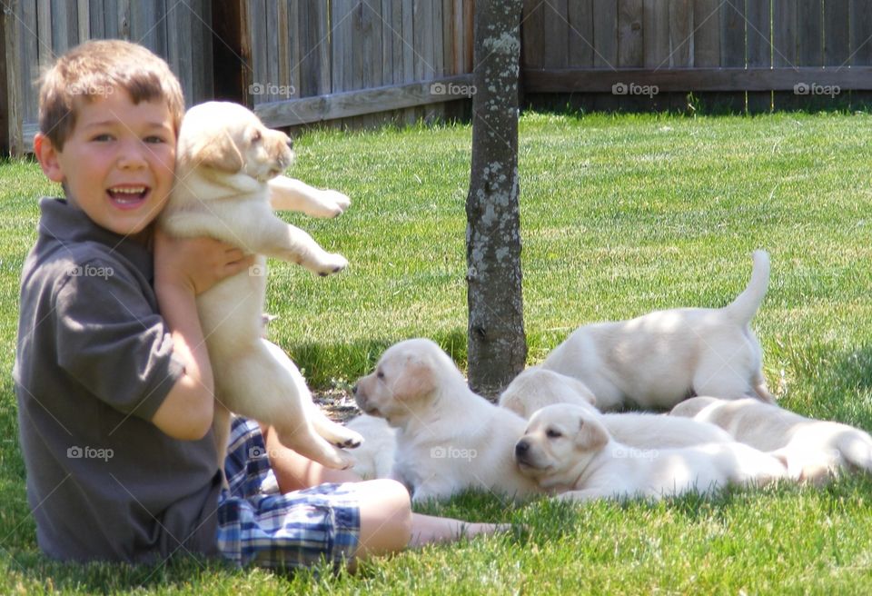 Little boy with group of puppies on grass