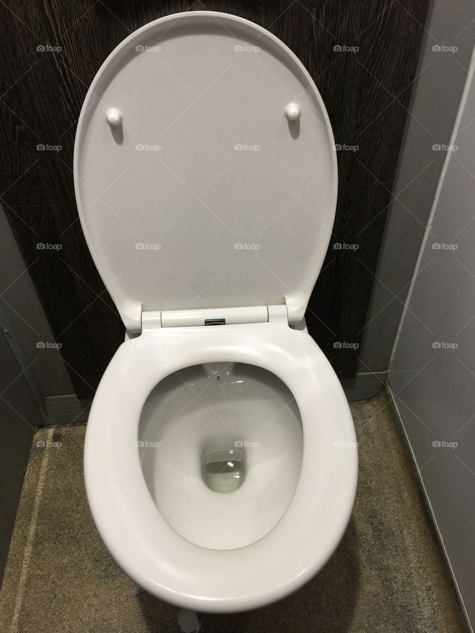 Toilet WC seat