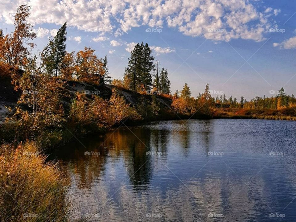 Осенний лес