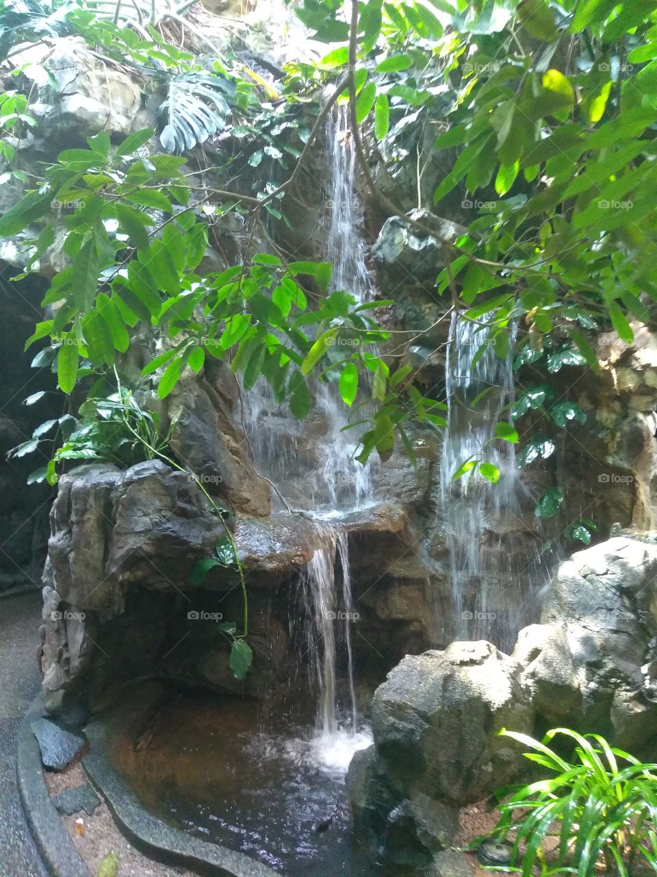 Aviary waterfall