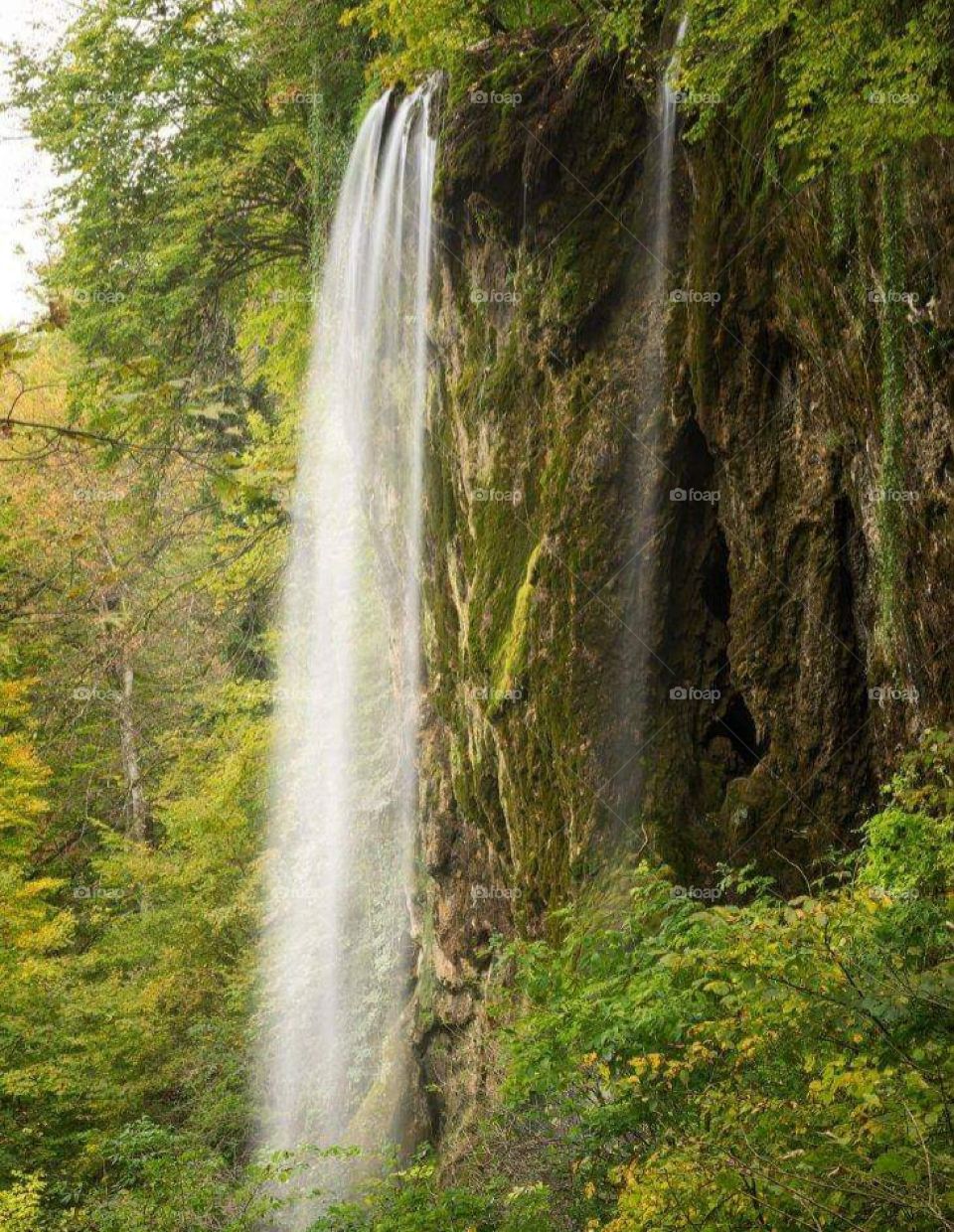Doljanci national park Papuk