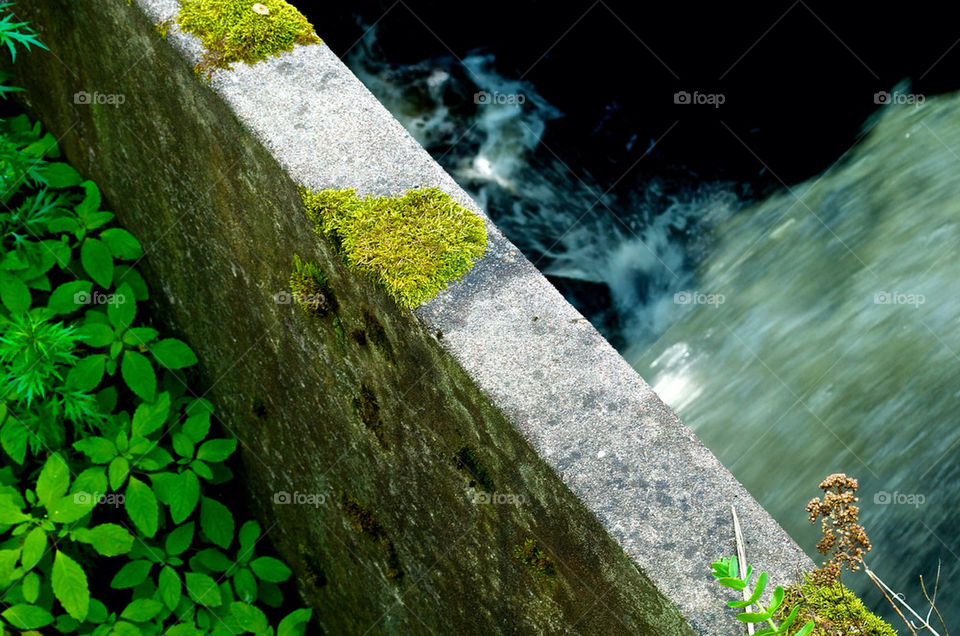 summer water concrete moss by razornuku