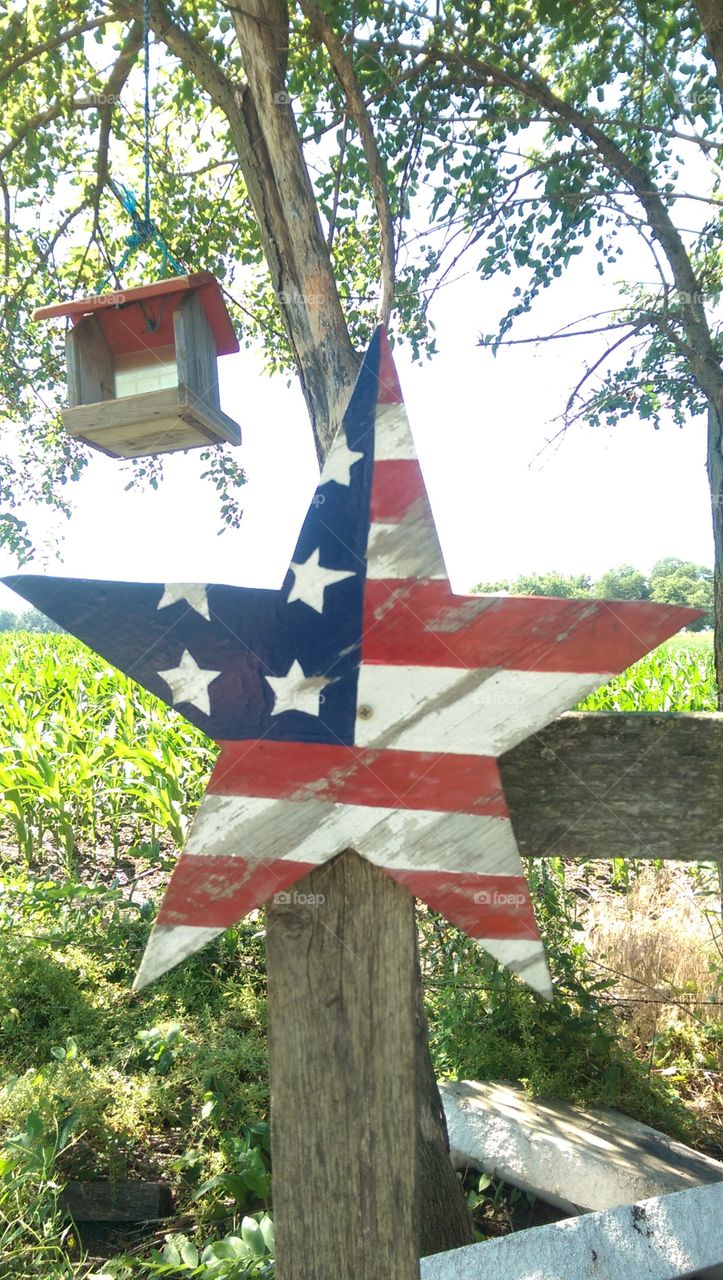 No Person, Wood, Flag, Tree, Outdoors