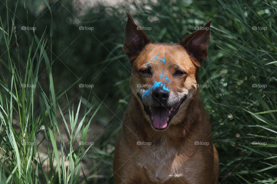 Blue shadows 