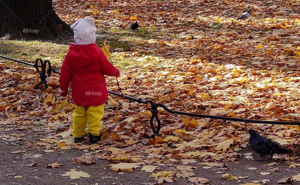 Children's outfit of the day for an autumn walk in the park 🟡⚪🔴🟠 Autumn time 🍂🍁