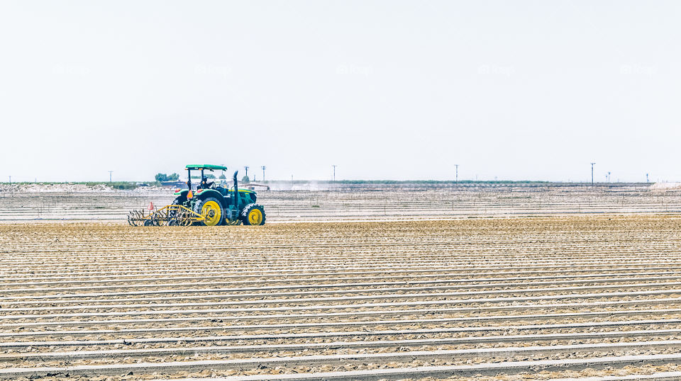 Farmland in the desert 