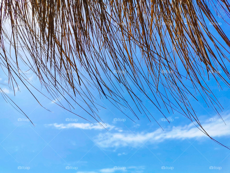 Thatched roof against blue sky background