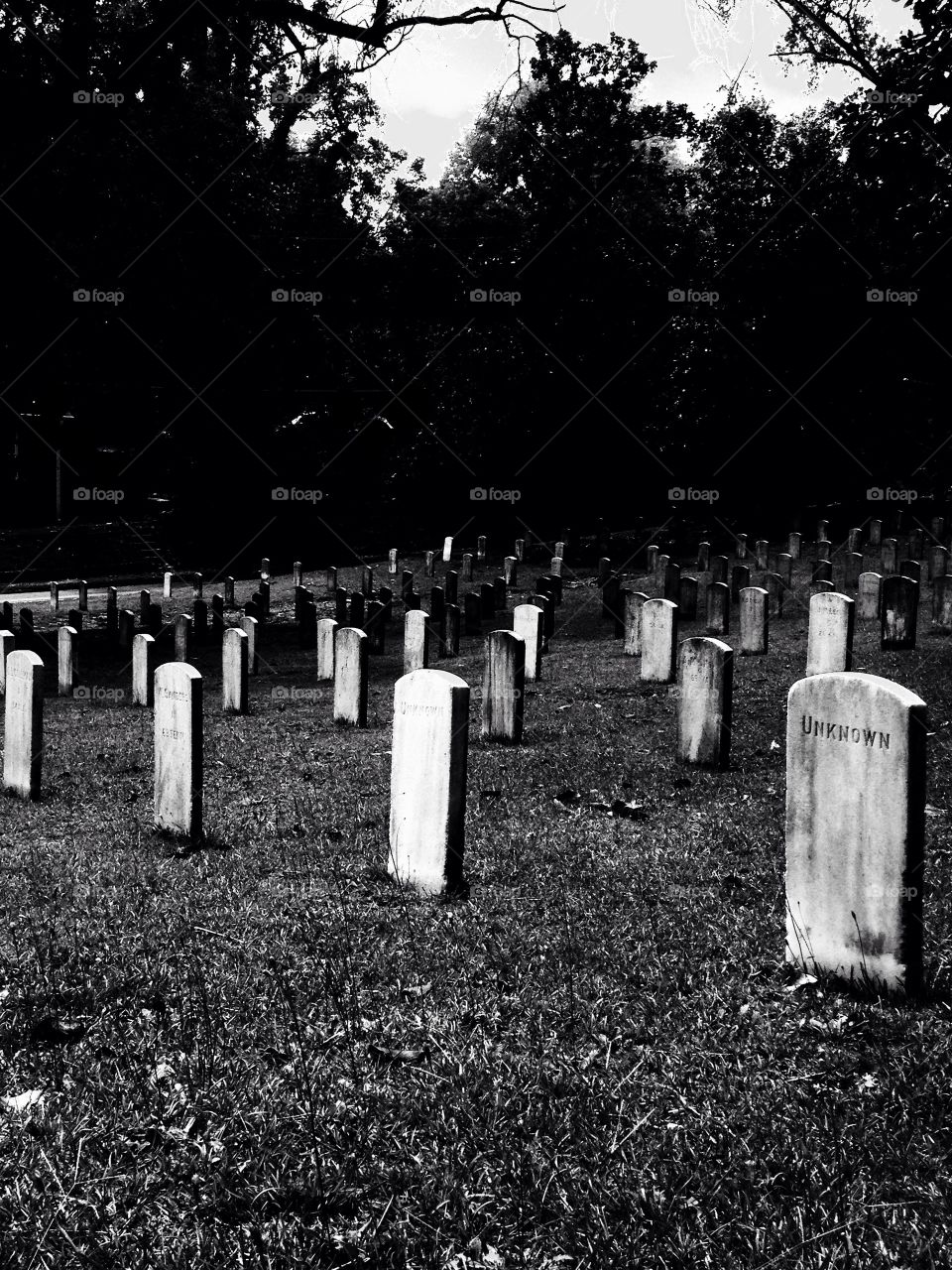 Graveyard, unknown, black and white, confederate soldiers