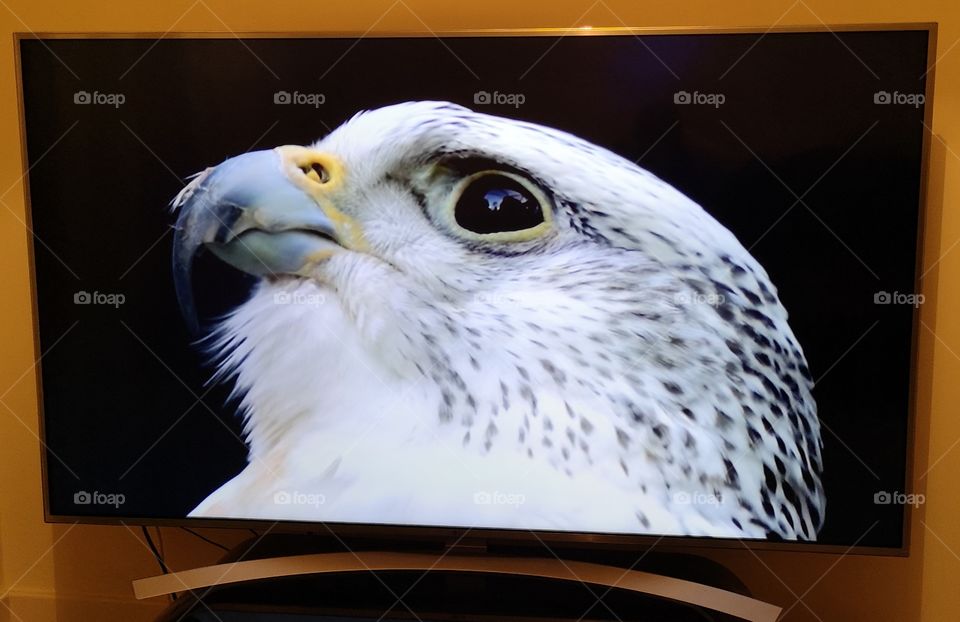LG 4k TV
