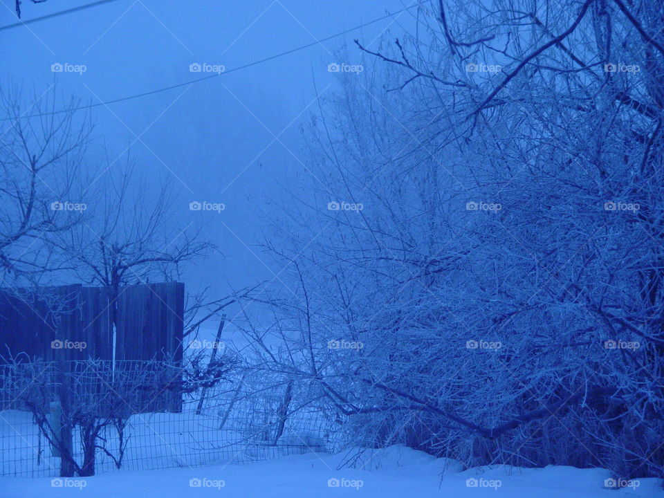 Early morning winter