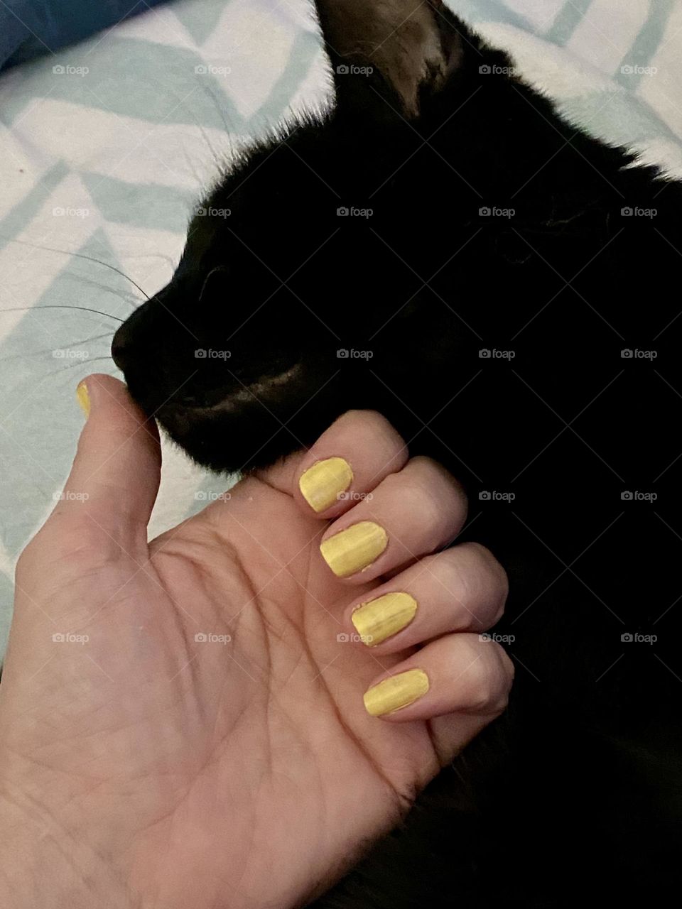 A black cat sniffing the hand of a person wearing yellow nail polish