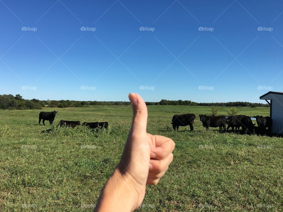 A rural thumbs up