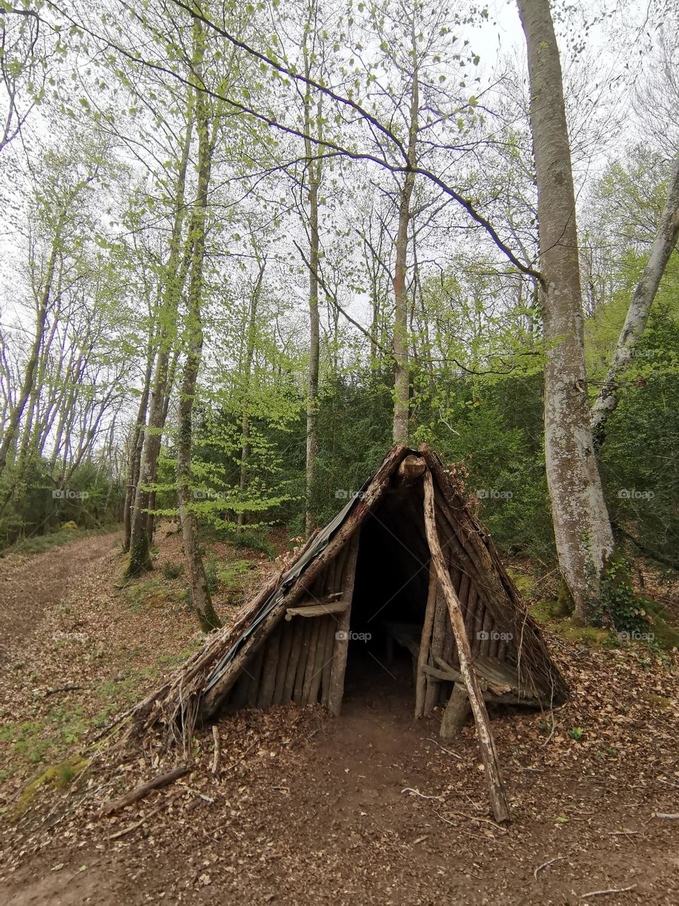 cabaña